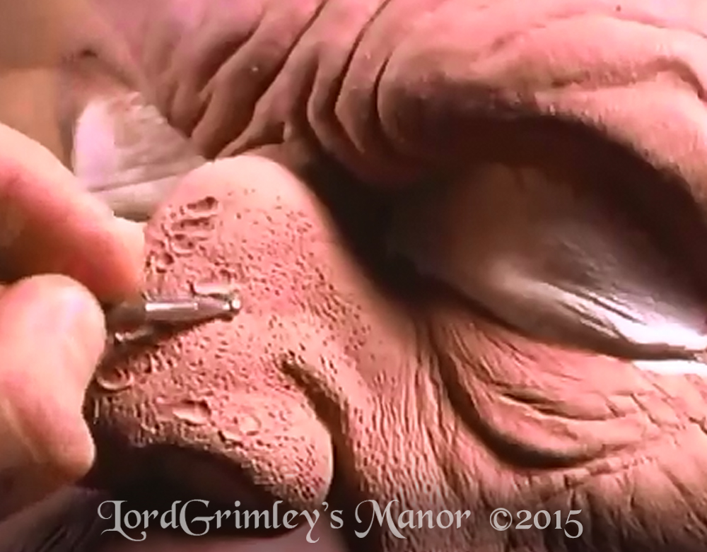 Morris_SculptingMonsters_02.jpg