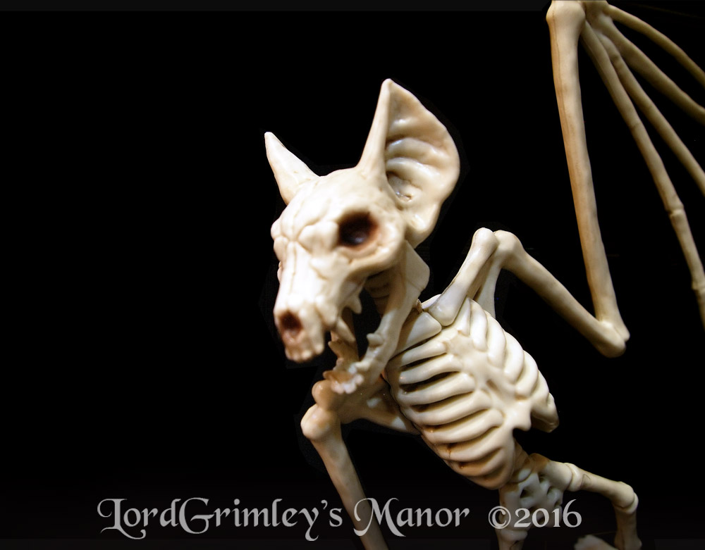 Seasons_Bat_01.jpg