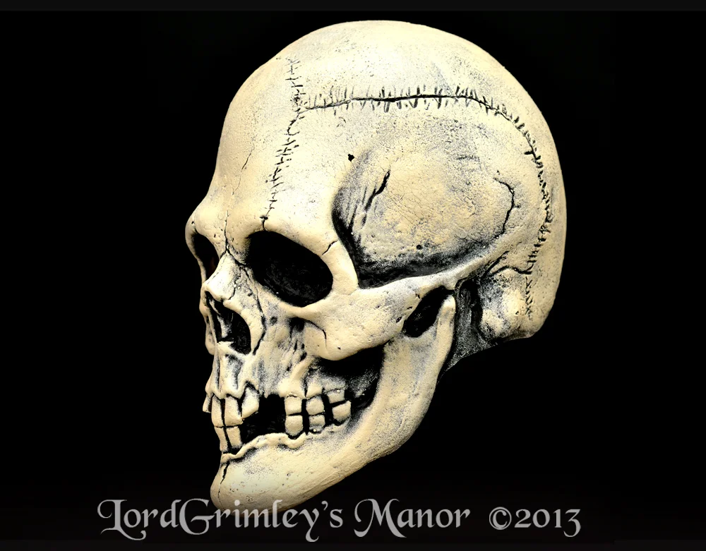 TrickorTreat_BoneSkull_03.jpg