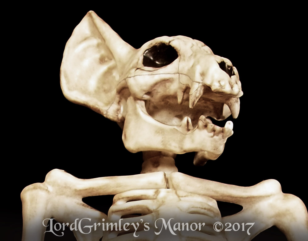 Seasons_BonezBat_01.jpg