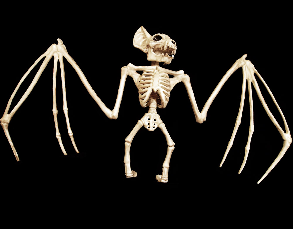 Seasons_BonezBat_Icon.jpg
