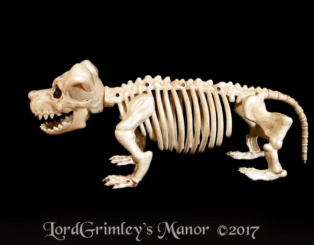 Seasons_BonezPuppy_04.jpg