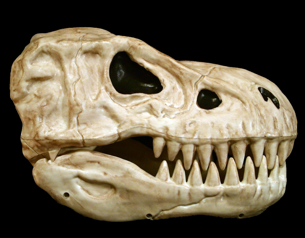 Seasons_BonezTRex_Icon.jpg