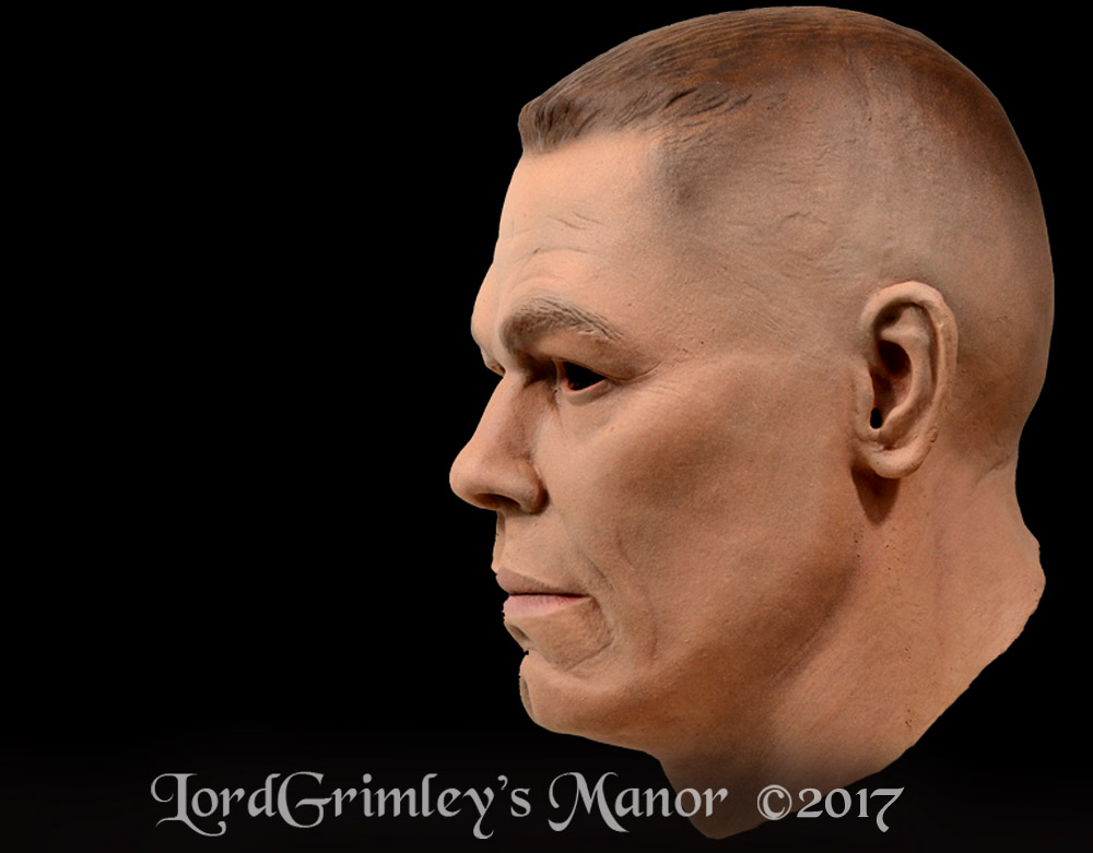 Trick_WWEJohnCena_04.jpg