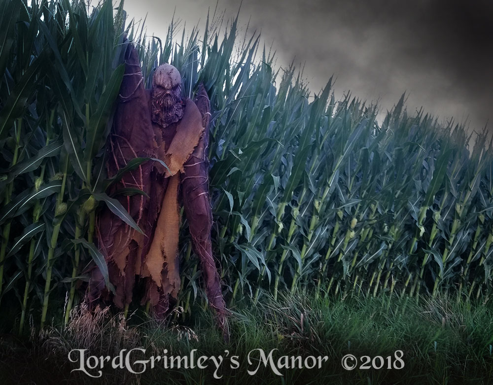 UnrealNightmares_ScarecrowNagoro_CornWalker_06.jpg