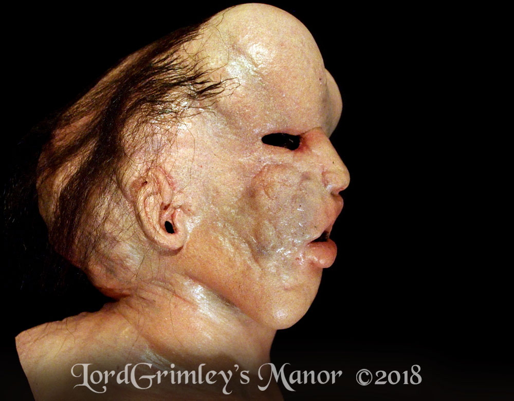 Trick_ElephantMan_01.jpg