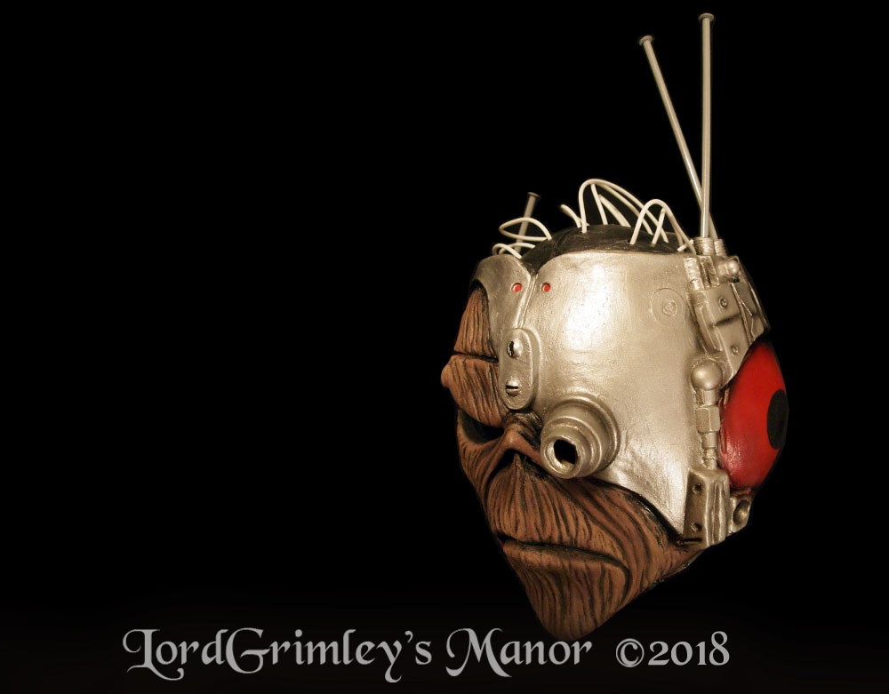 Trick_IronMaiden_SomewhereTime_02.jpg
