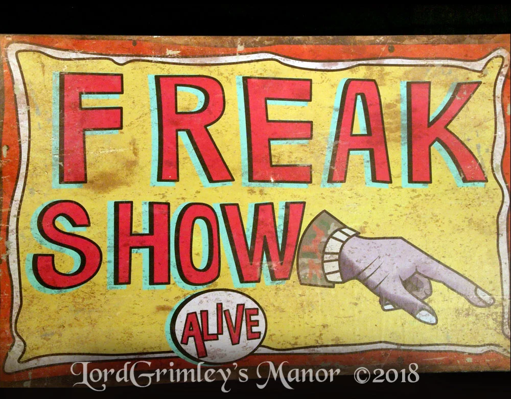 Sunstar_FreakShowSign_01.jpg