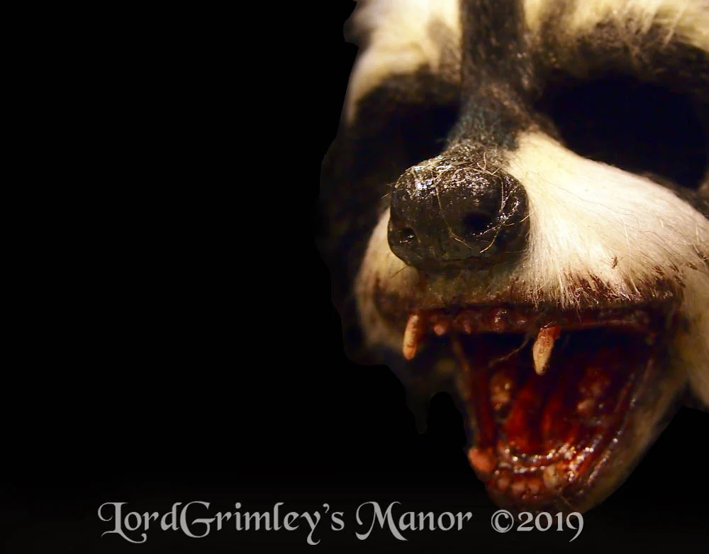 Inferno_HalfMask_Racoon_03.jpg