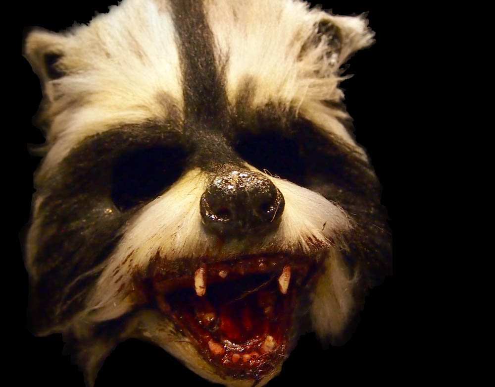 Inferno_HalfMask_Racoon_Icon.jpg