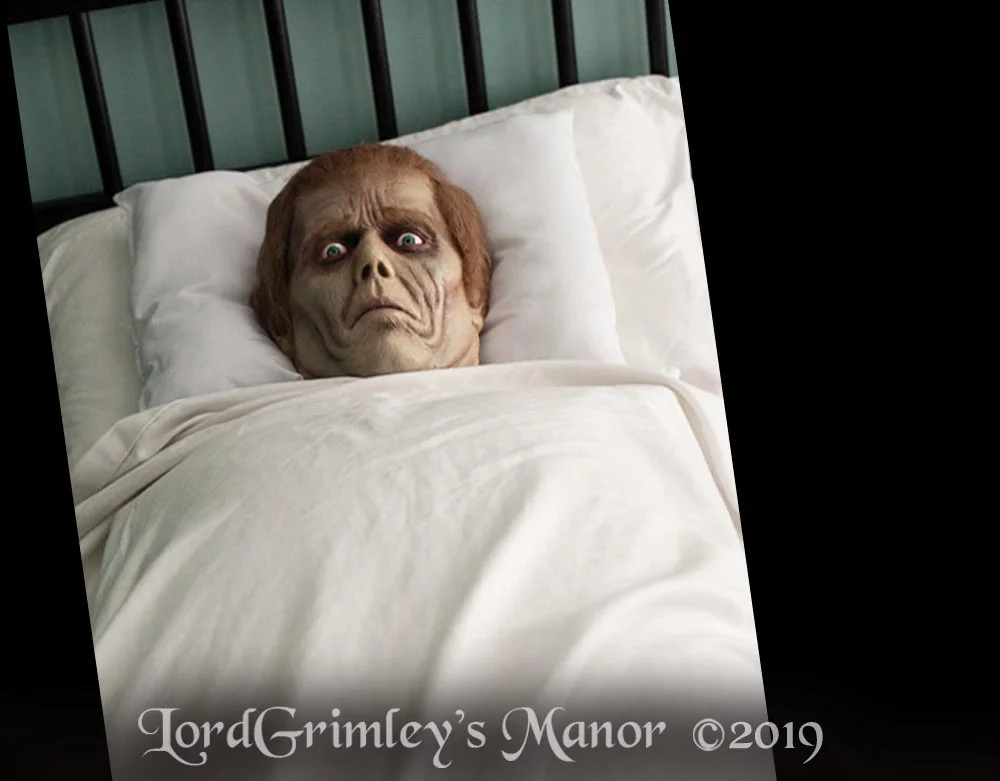 Trick_RogerPillow_01.jpg