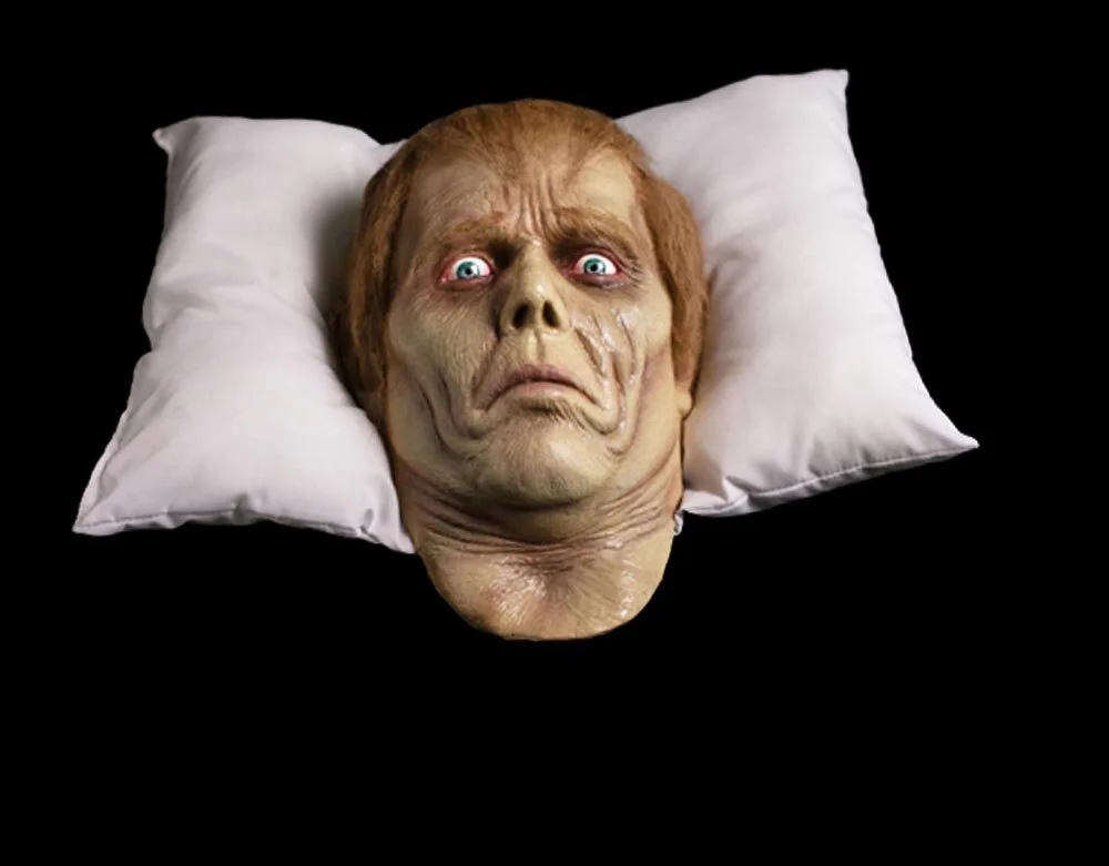Officially Licensed Dawn of the Dead - Roger Pillow Pal Prop