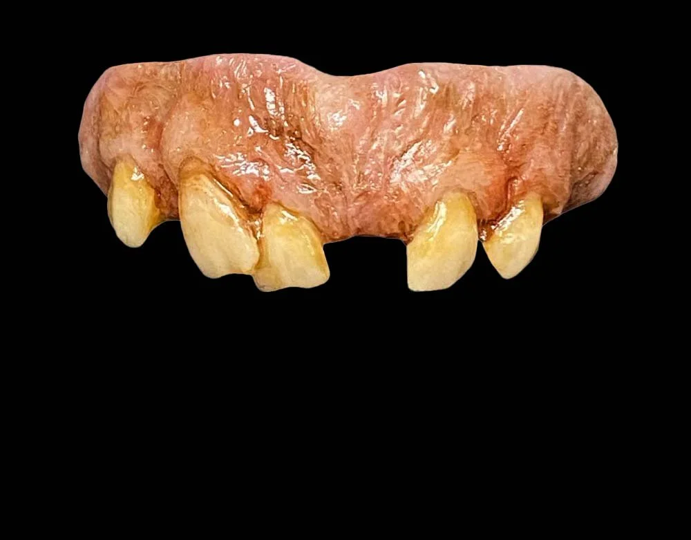 Trick or Treat Studios - Officially Licensed Texas Chainsaw Massacre 2 Leatherface - Bitemares Horror Teeth Appliance - Lord Grimley's Manor