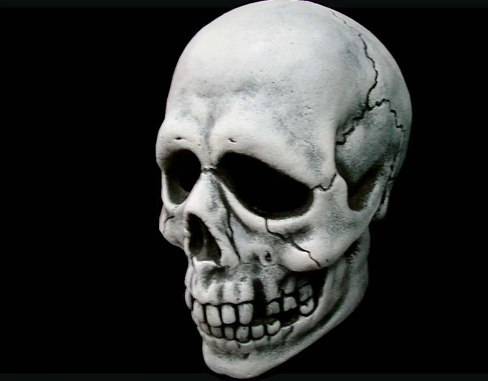 Don Post - Skull Mask