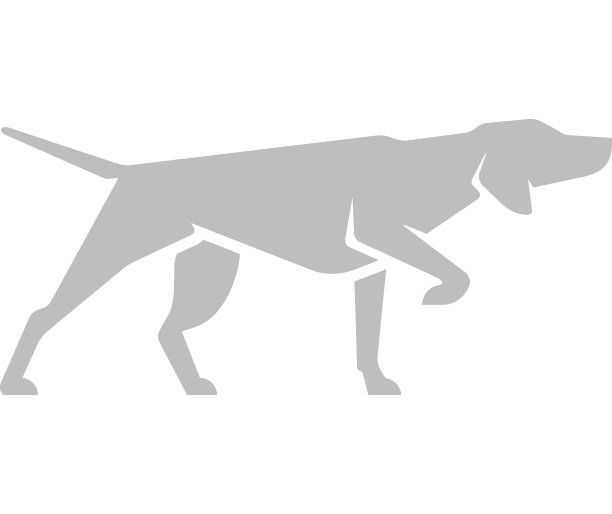 Dog logo clear.png