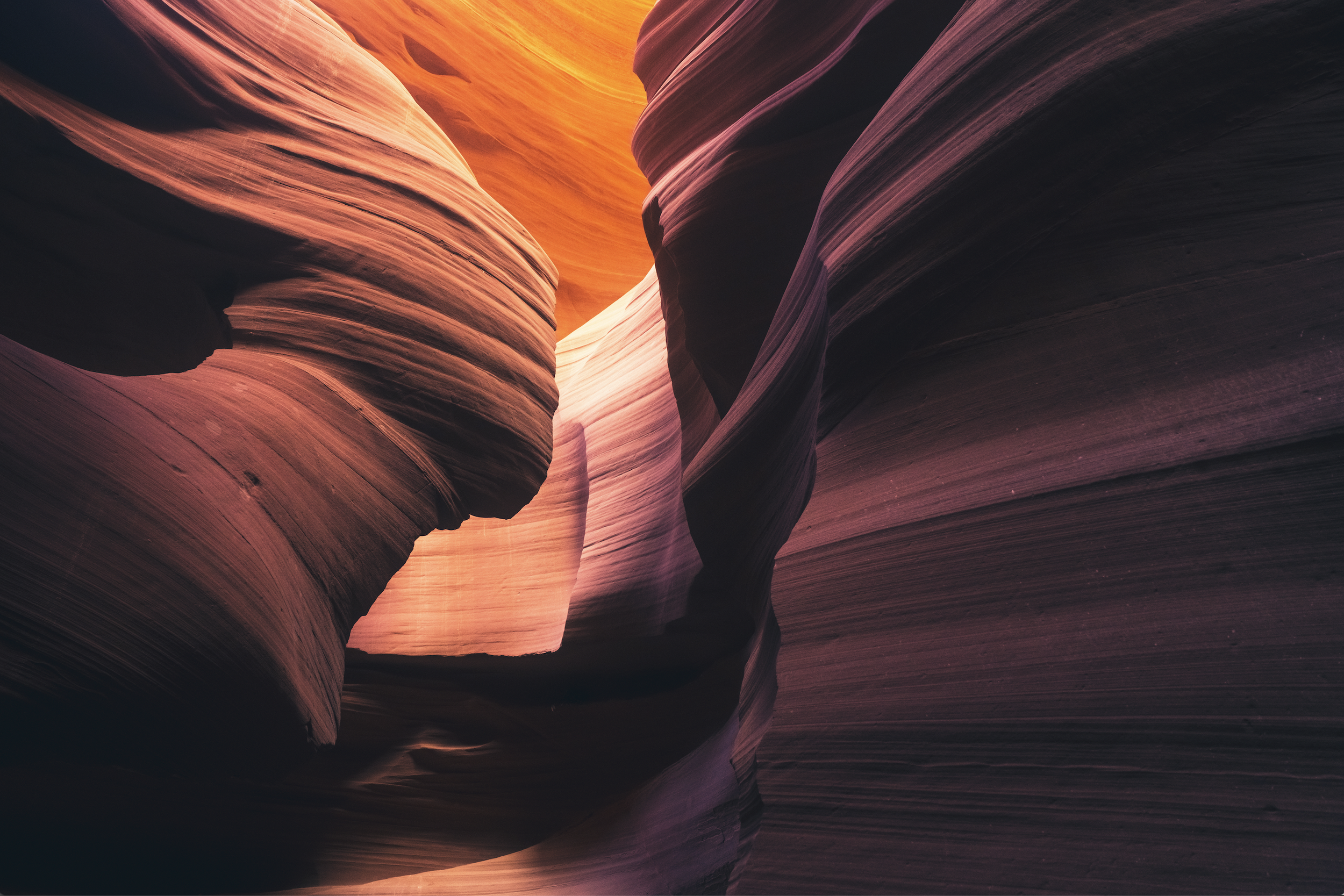 Screen Shot 2022-10-08 at 2.49.44 PM.png