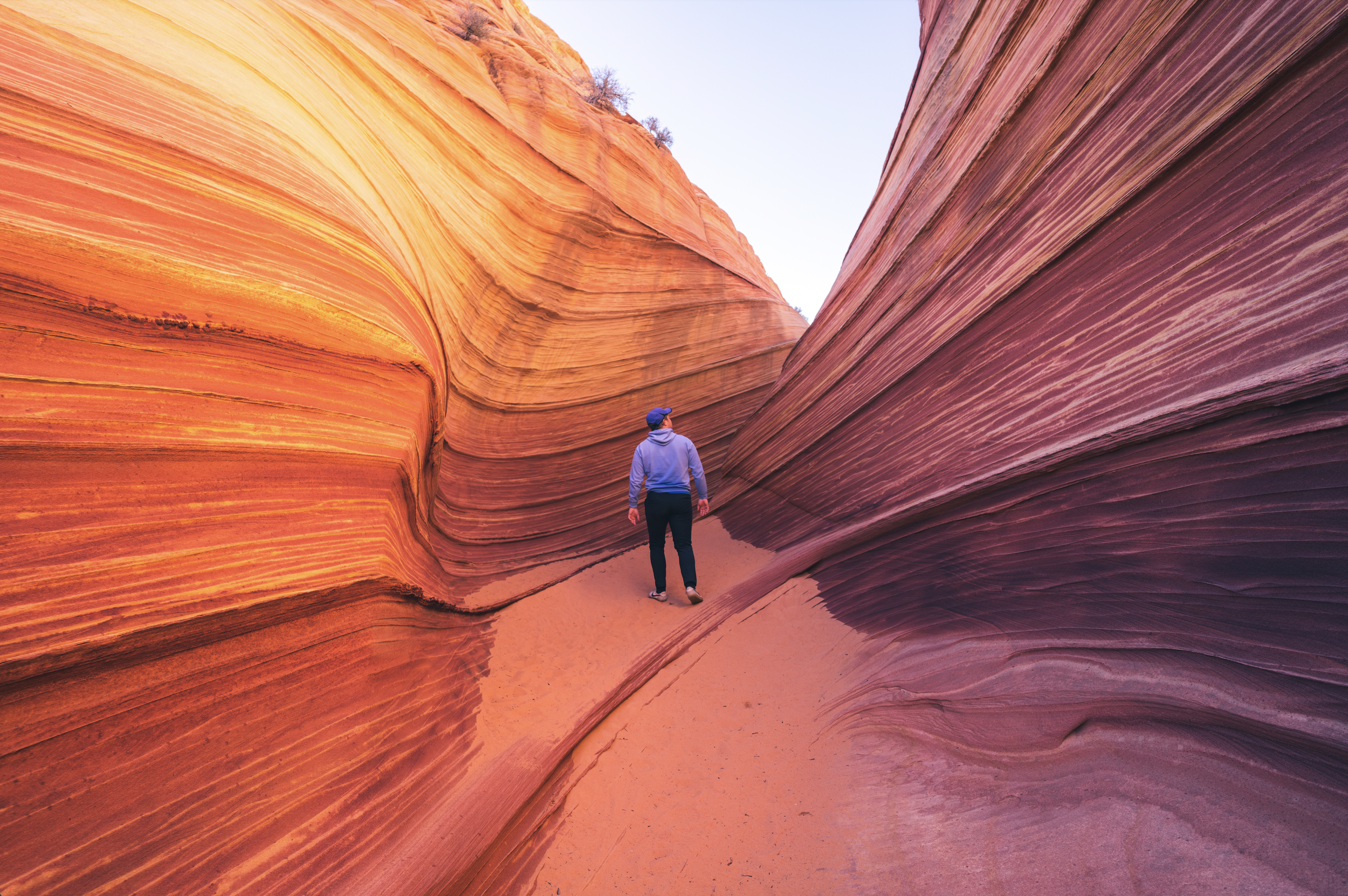 Screen Shot 2022-10-08 at 2.52.38 PM.png