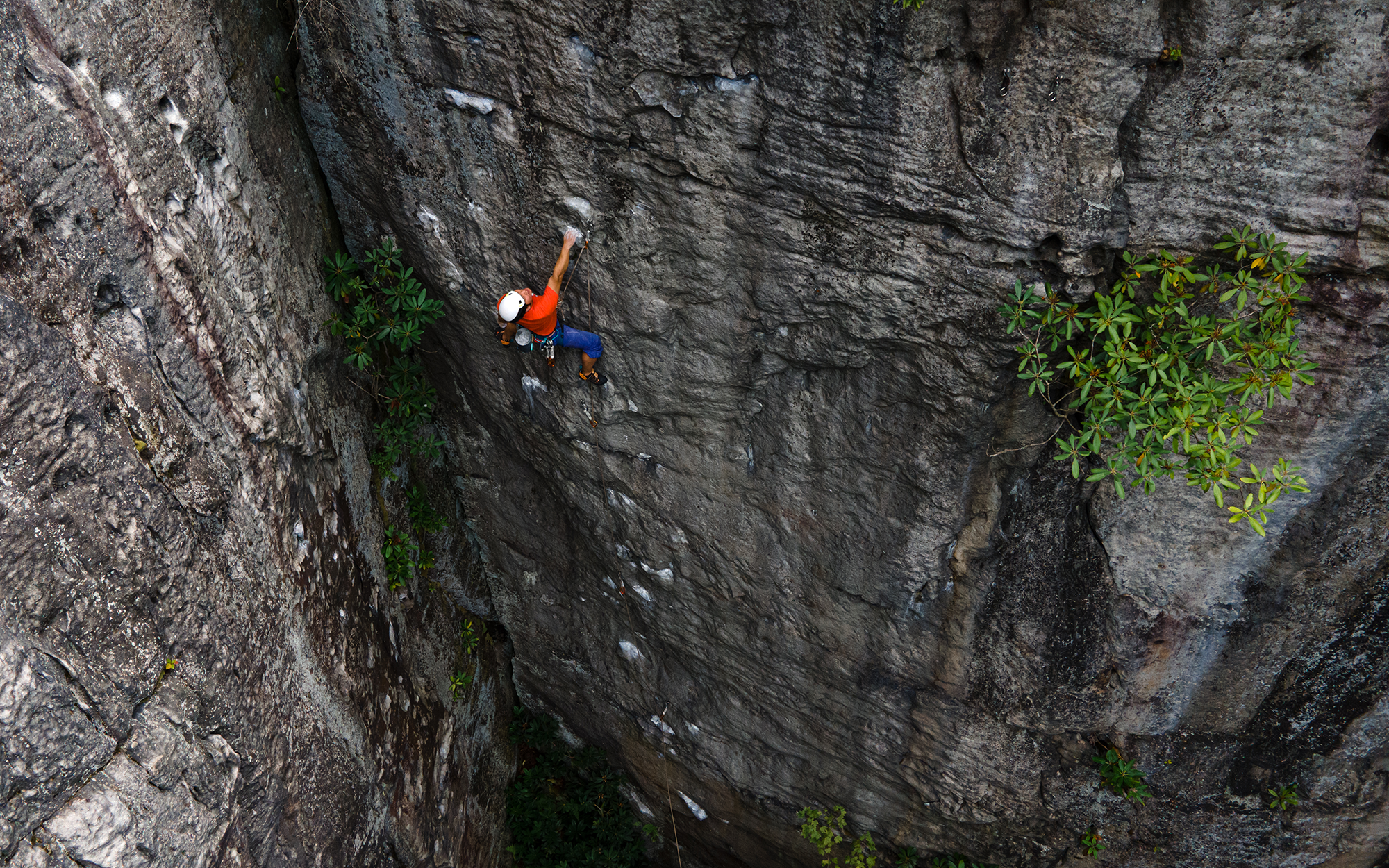 New River Gorge_July2021-37.png