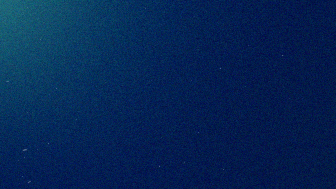 JupiterOne+New+Hire+Animation+1.gif