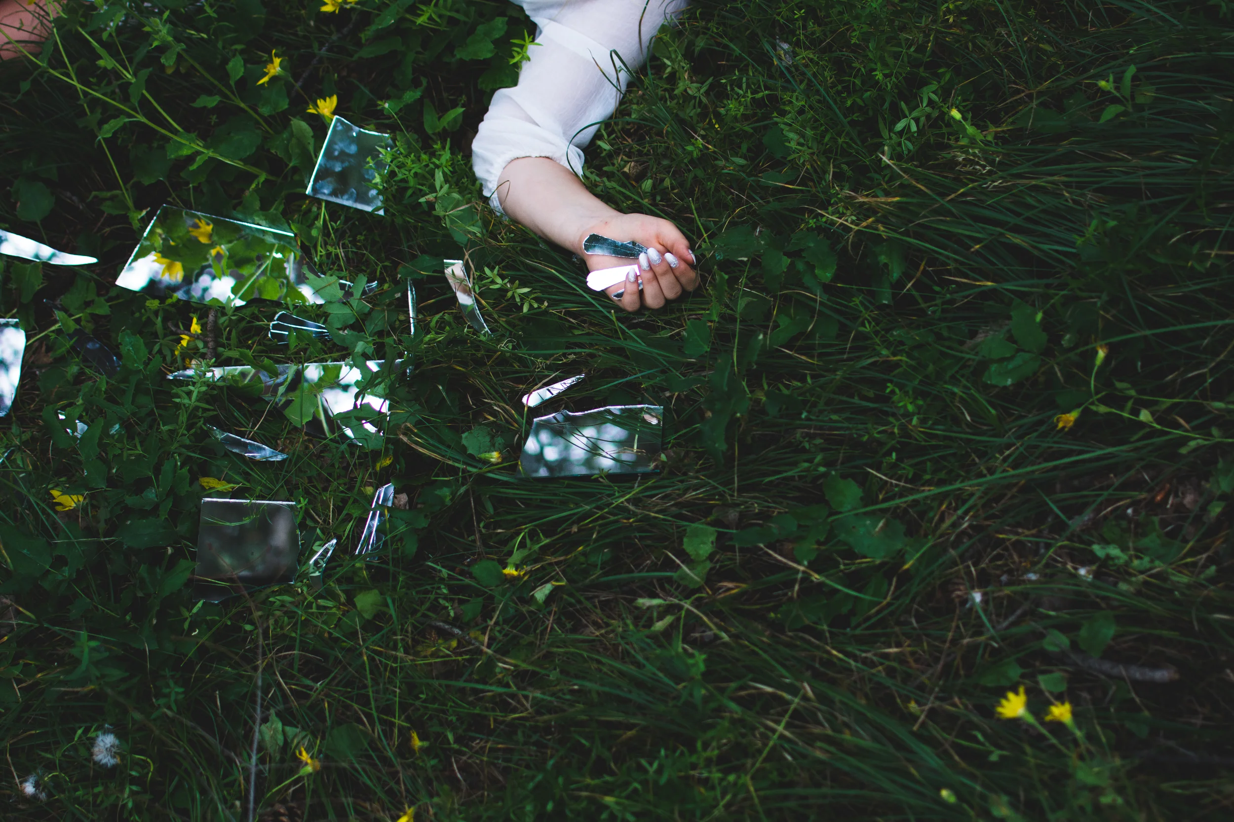 Lily | 7.18.15 | Mount Falcon Park