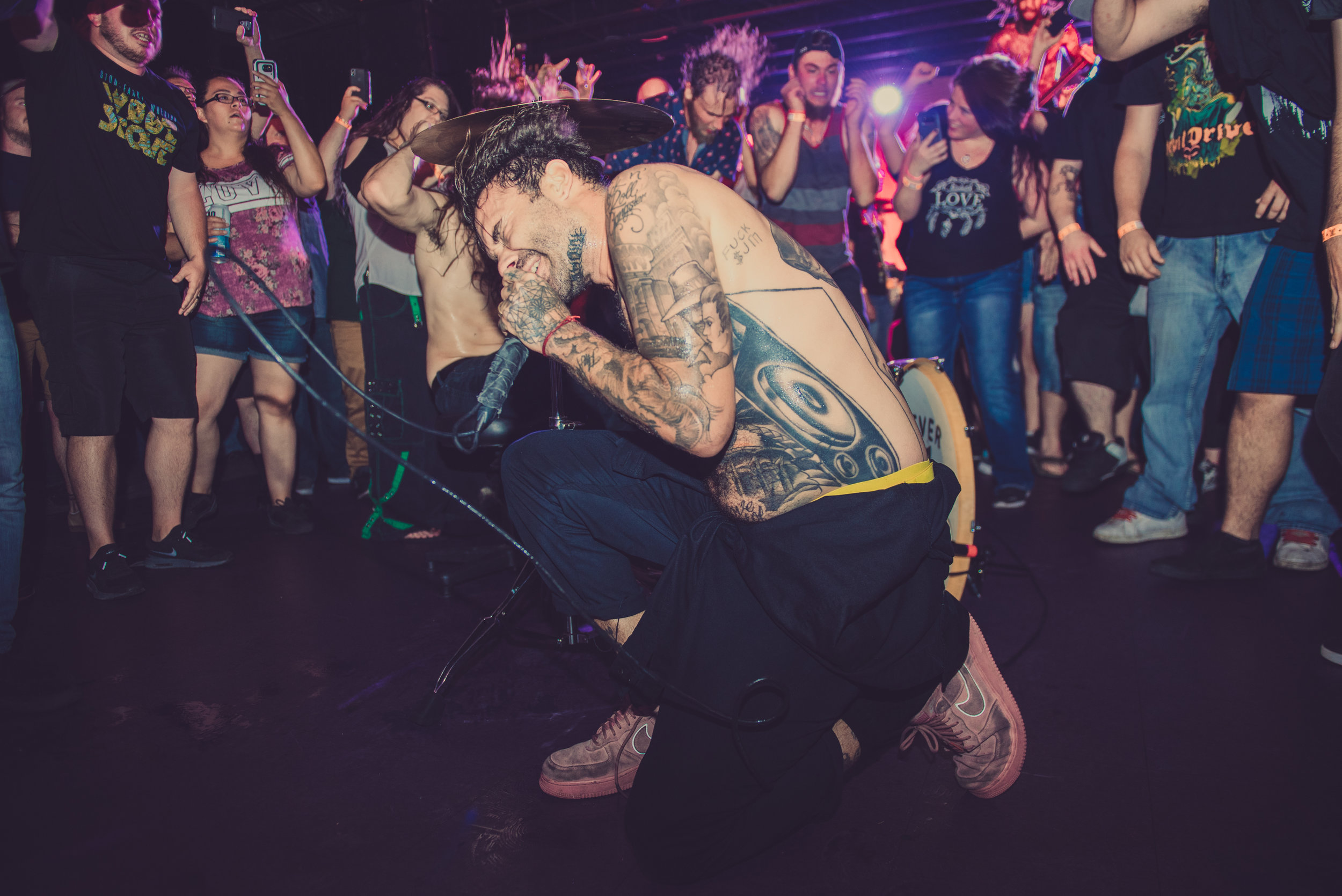 The Fever 333