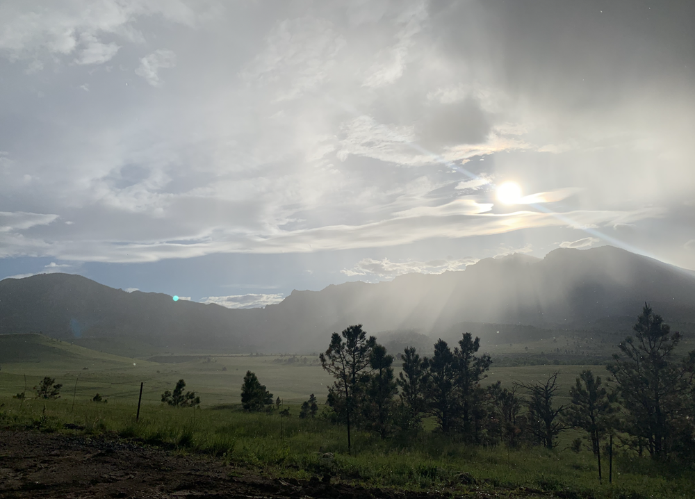 Screen Shot 2021-01-01 at 4.35.20 PM.png