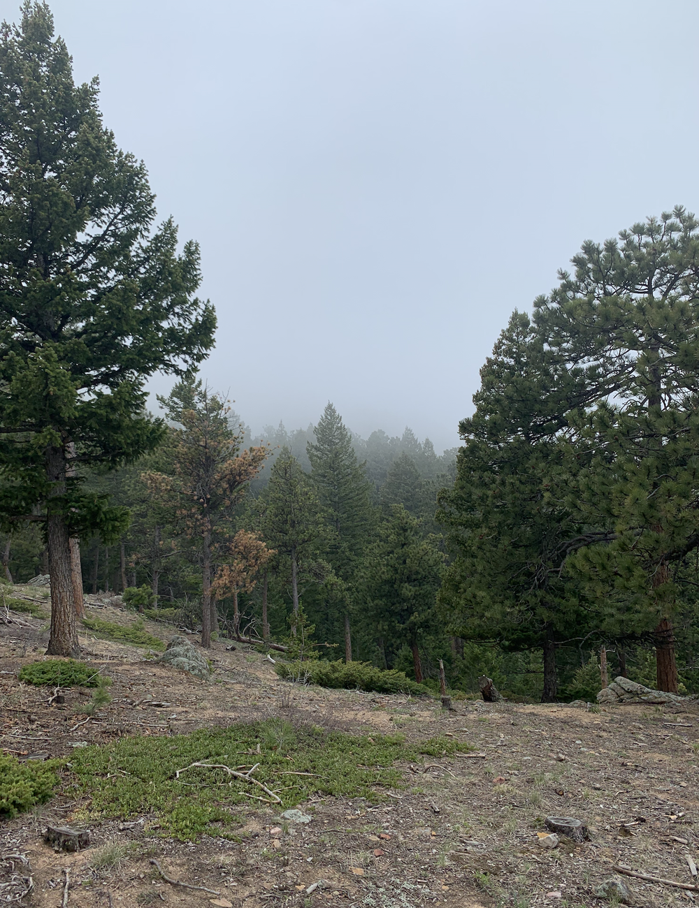 Screen Shot 2021-01-01 at 4.36.16 PM.png