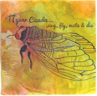 17 Year Cicada