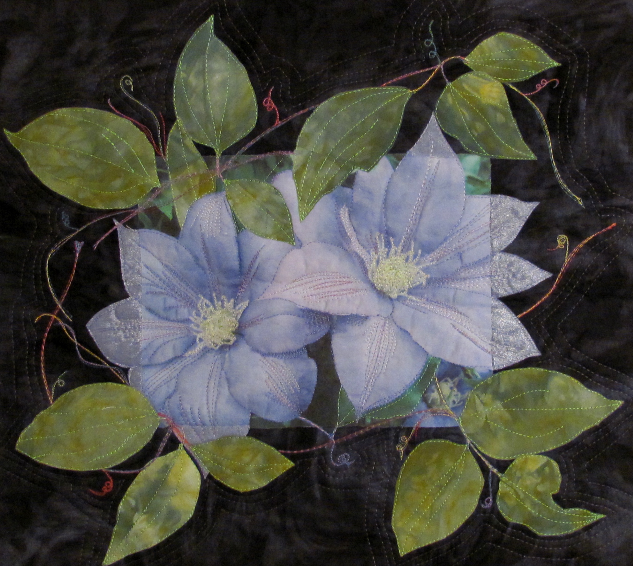 Clematis
