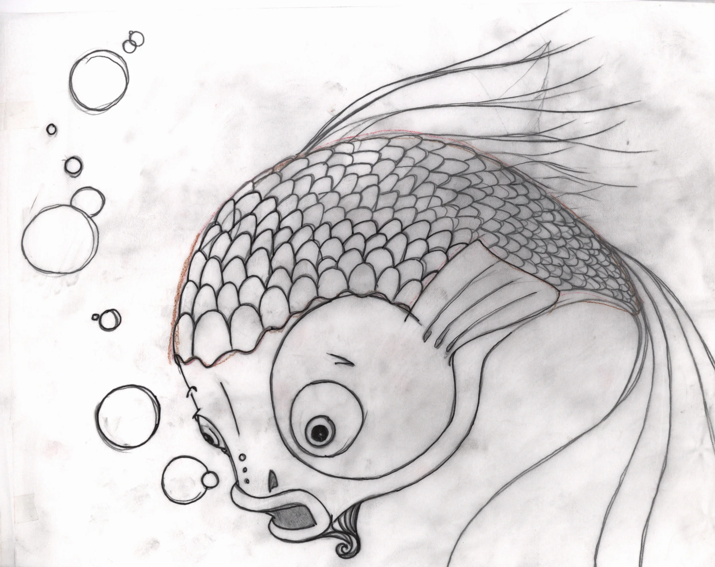 fish_ed.jpg