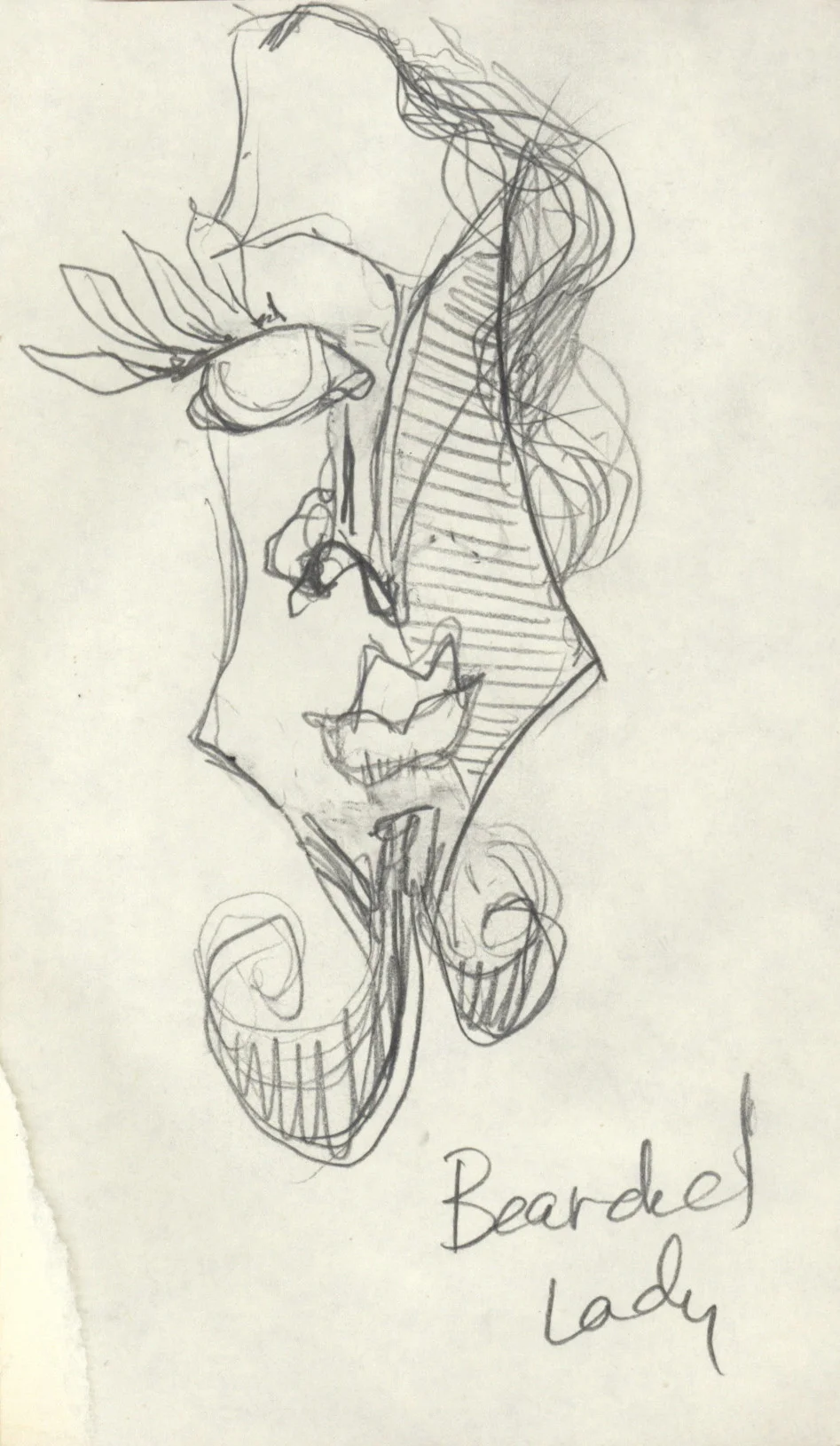 notebook_bearded lady.JPEG