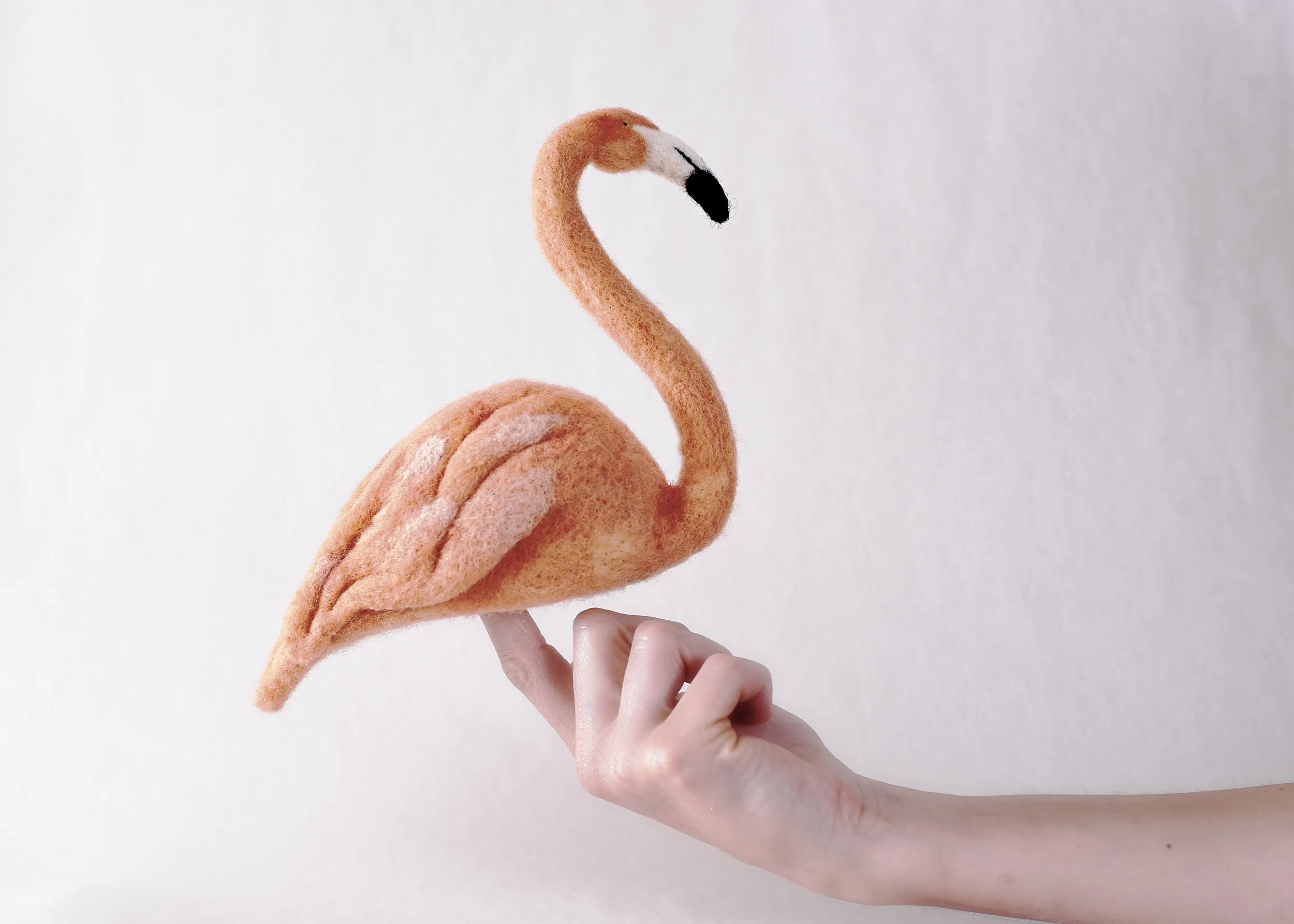 Flo the Flamingo