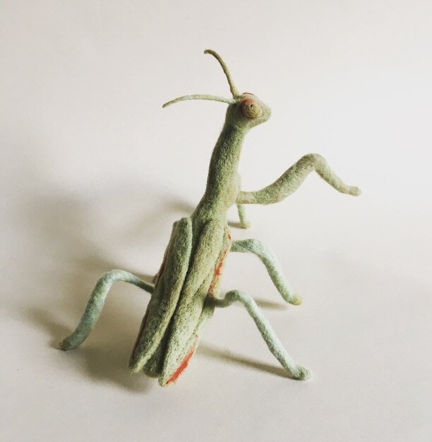 - Adult T-Shirt XL ts_319047 Insects Macro Photograph of a Baby Praying Mantis on a Shepherd Hook 3dRose Stamp City - Adult T-Shirt XL ts_319047 Insects Macro Photograph of a Baby Praying Mantis on a Shepherd Hook 3dRose Stamp City