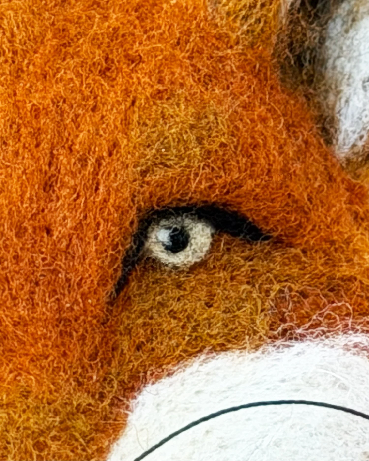 Fox Detail.jpg