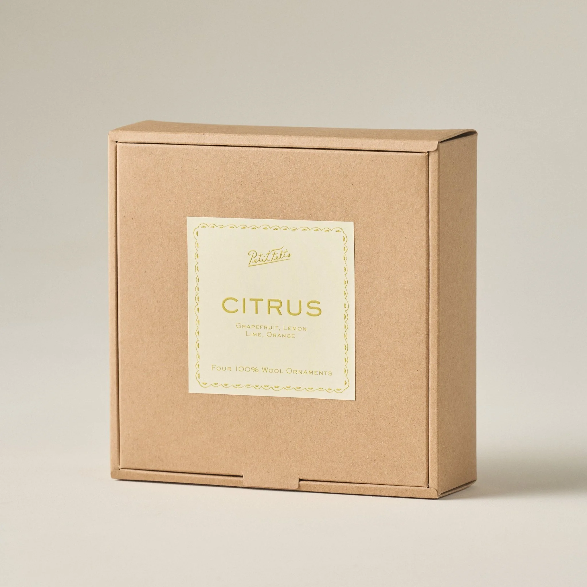 Citrus Slice Ornament Set