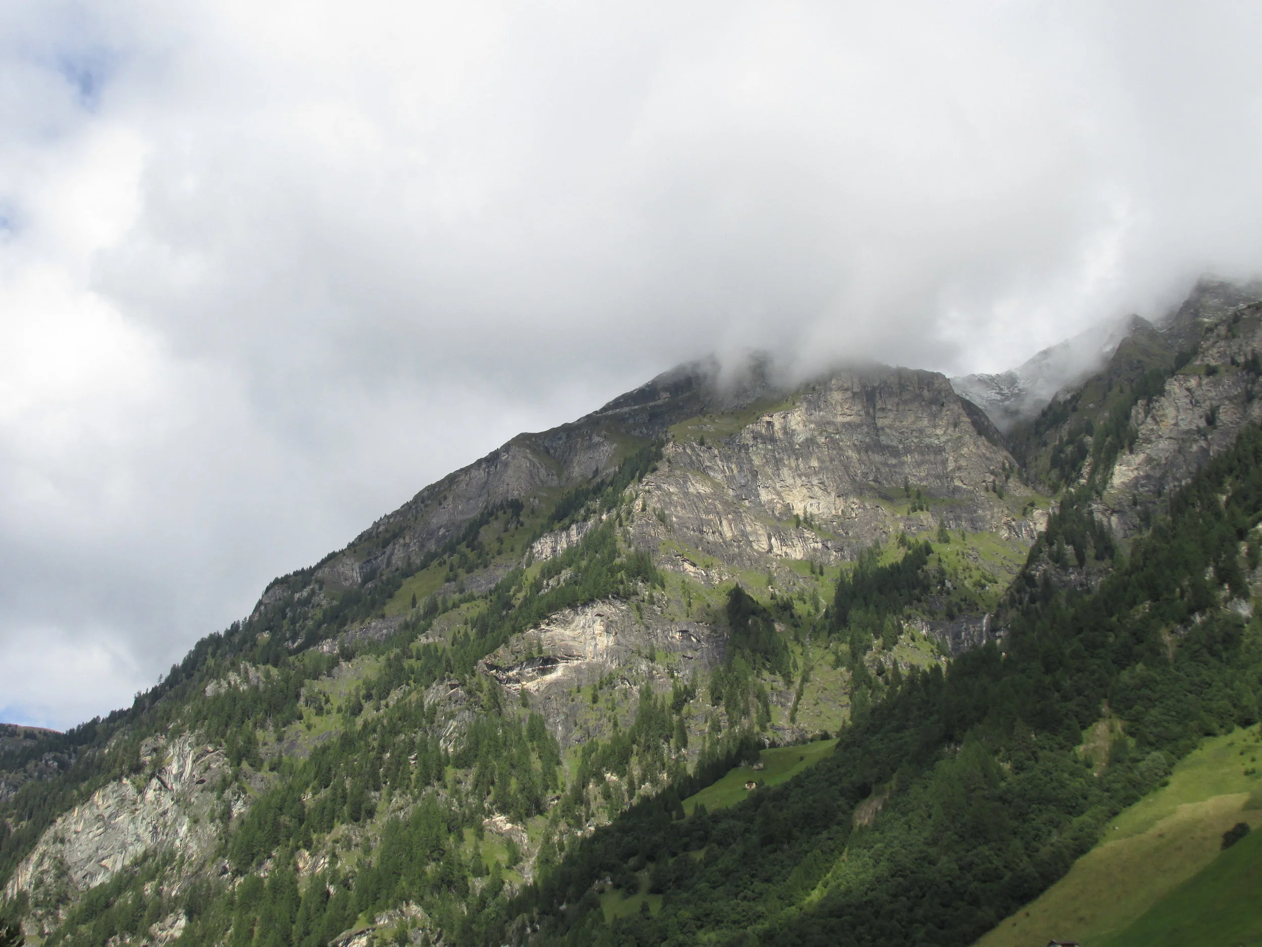 IMG_2946.JPG