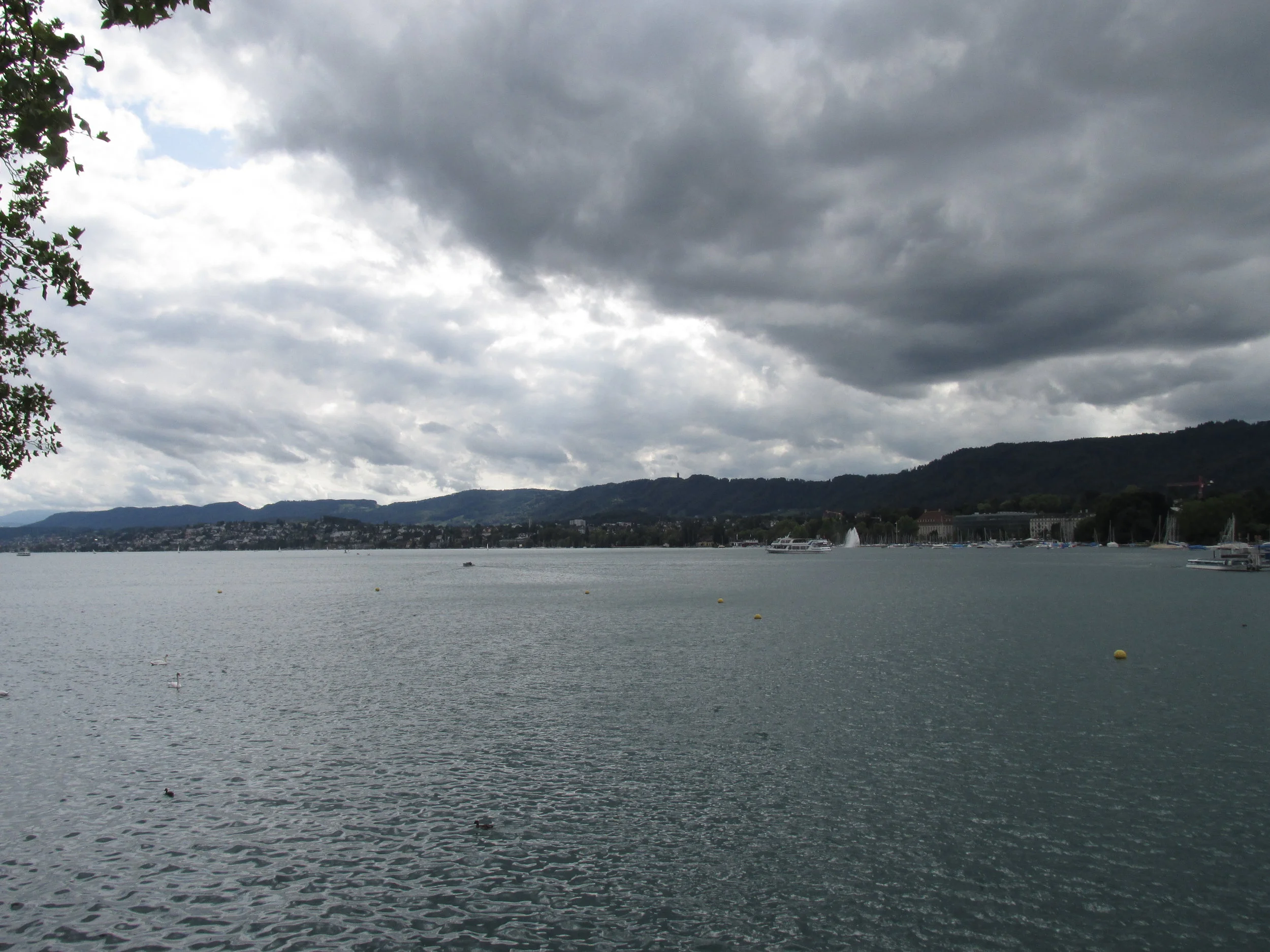 IMG_3399.JPG