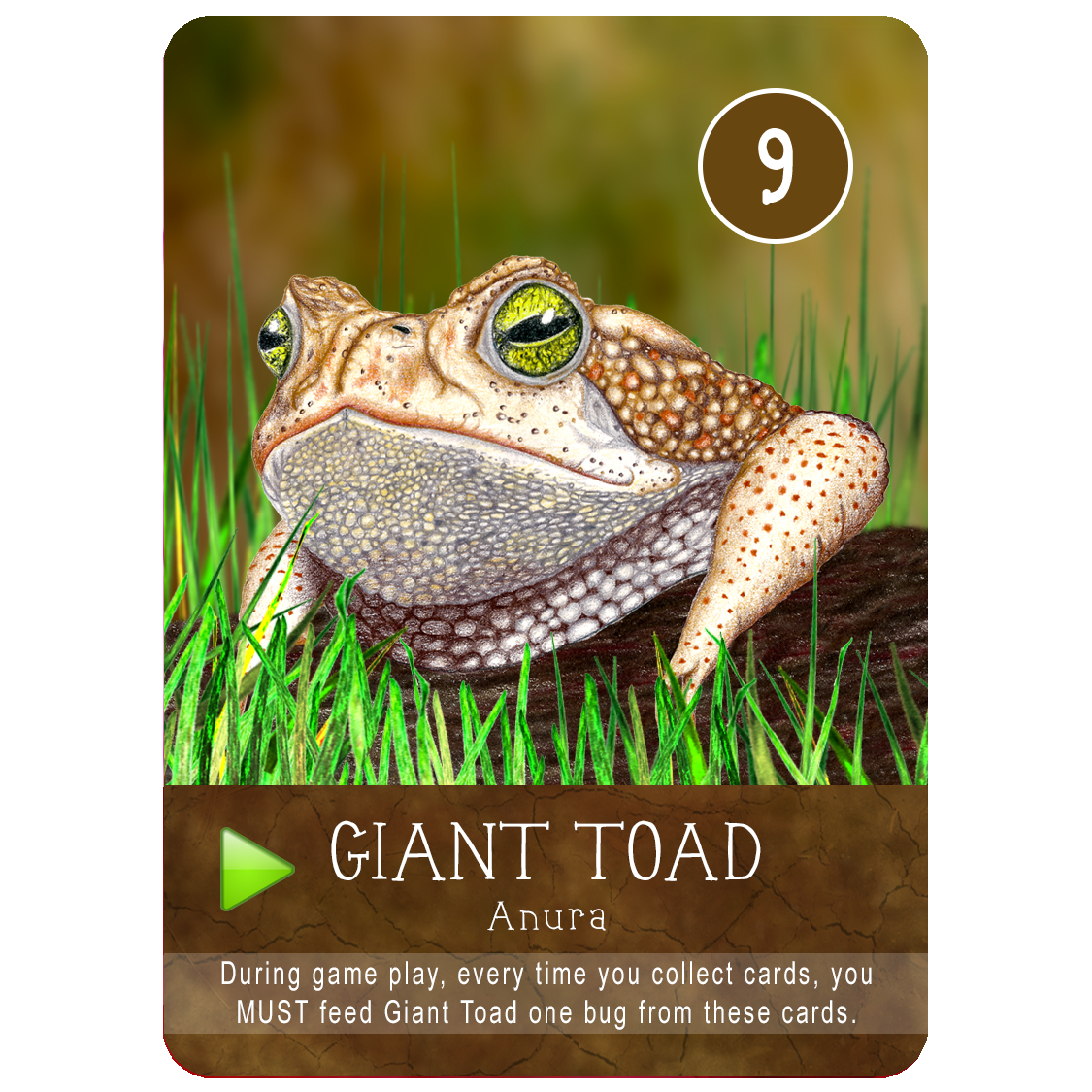 toad.png