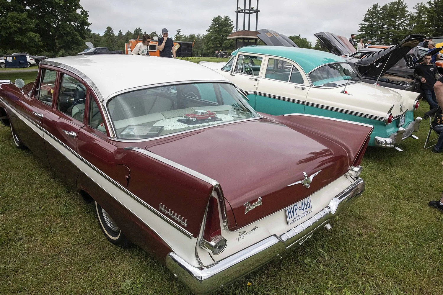 _Q8A3827.jpg