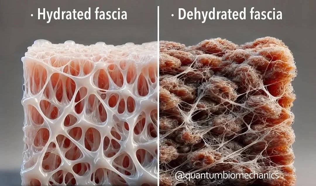 Your Fascia is Thirsty