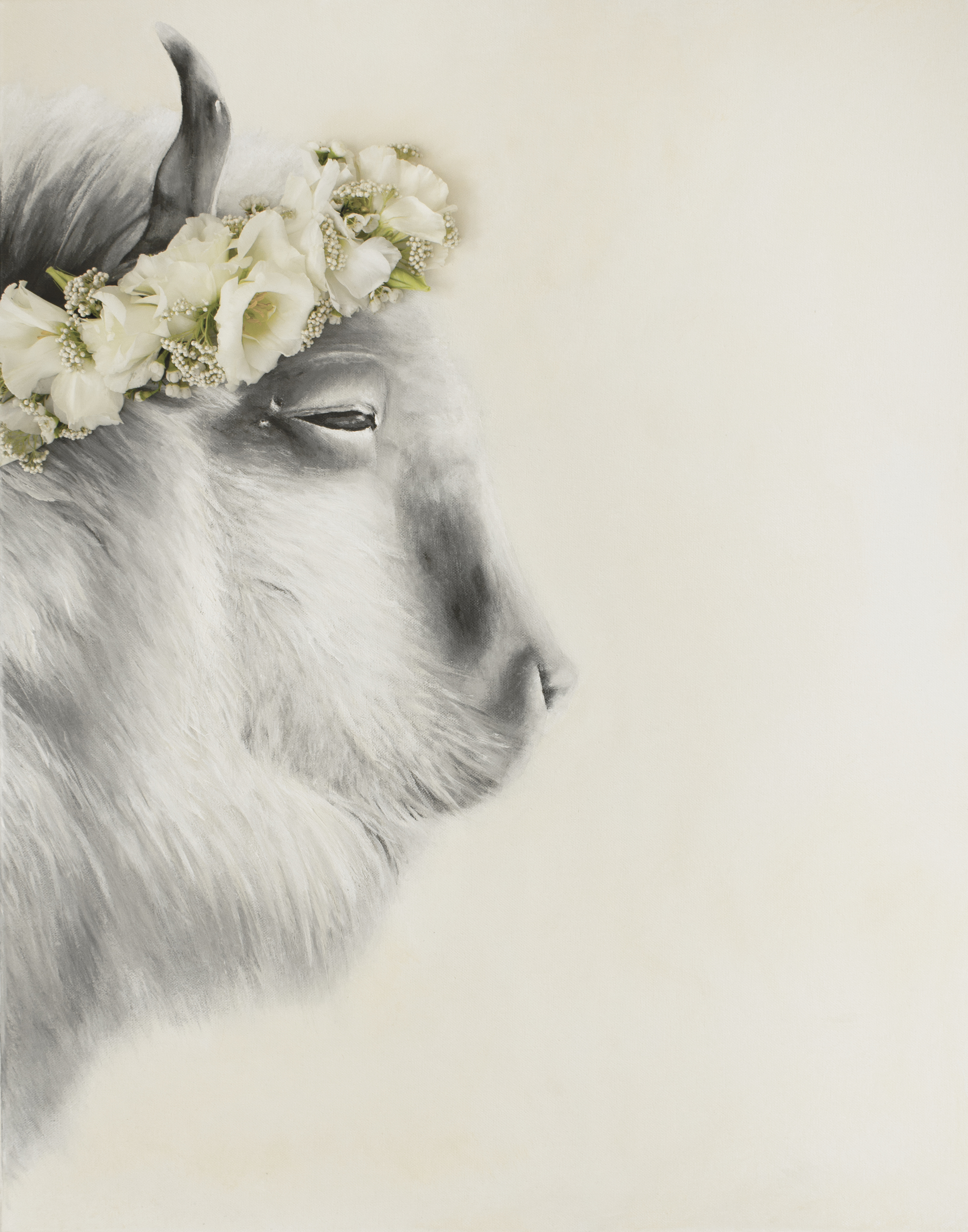 Buffalo Flower Print