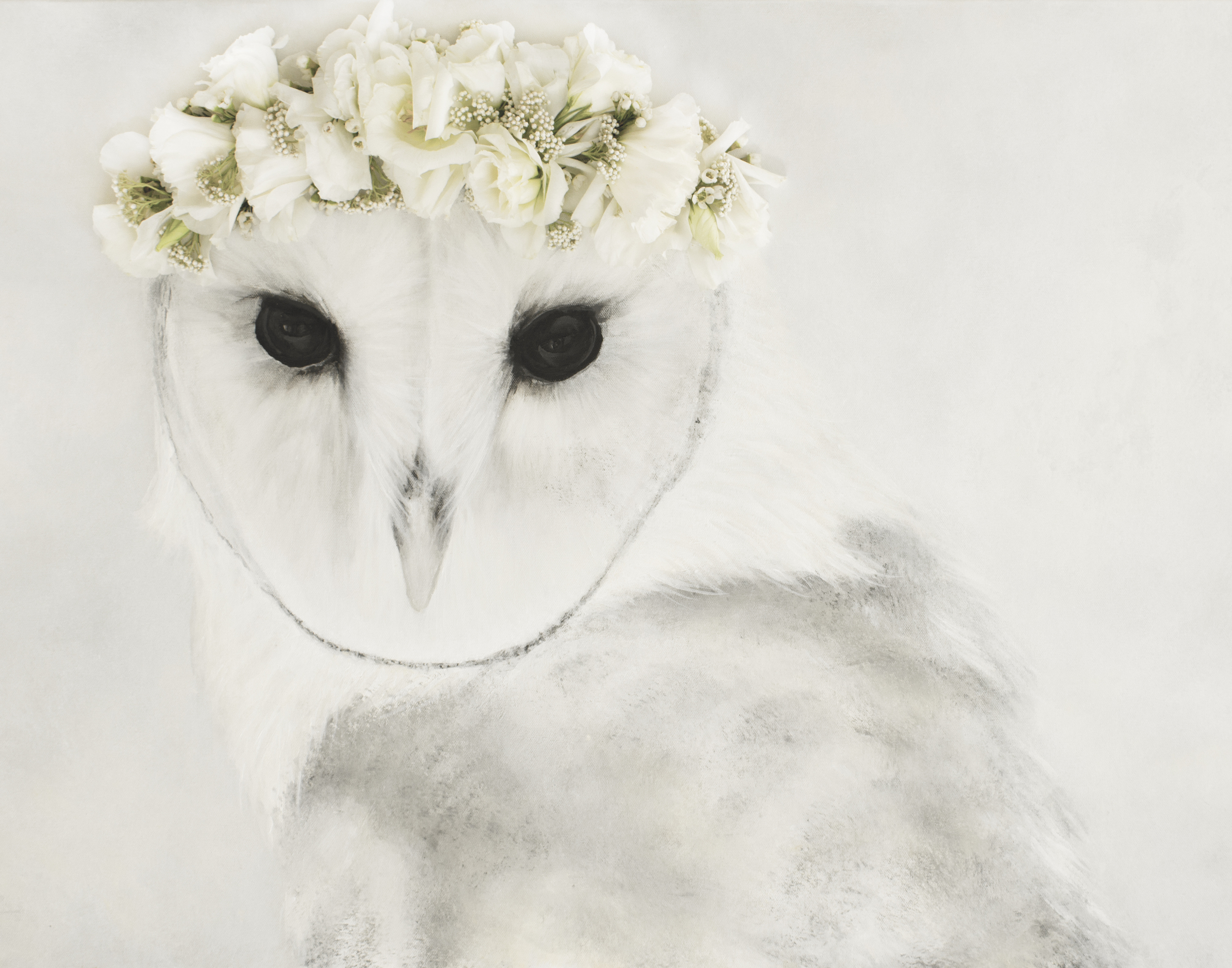Owl Flower Print