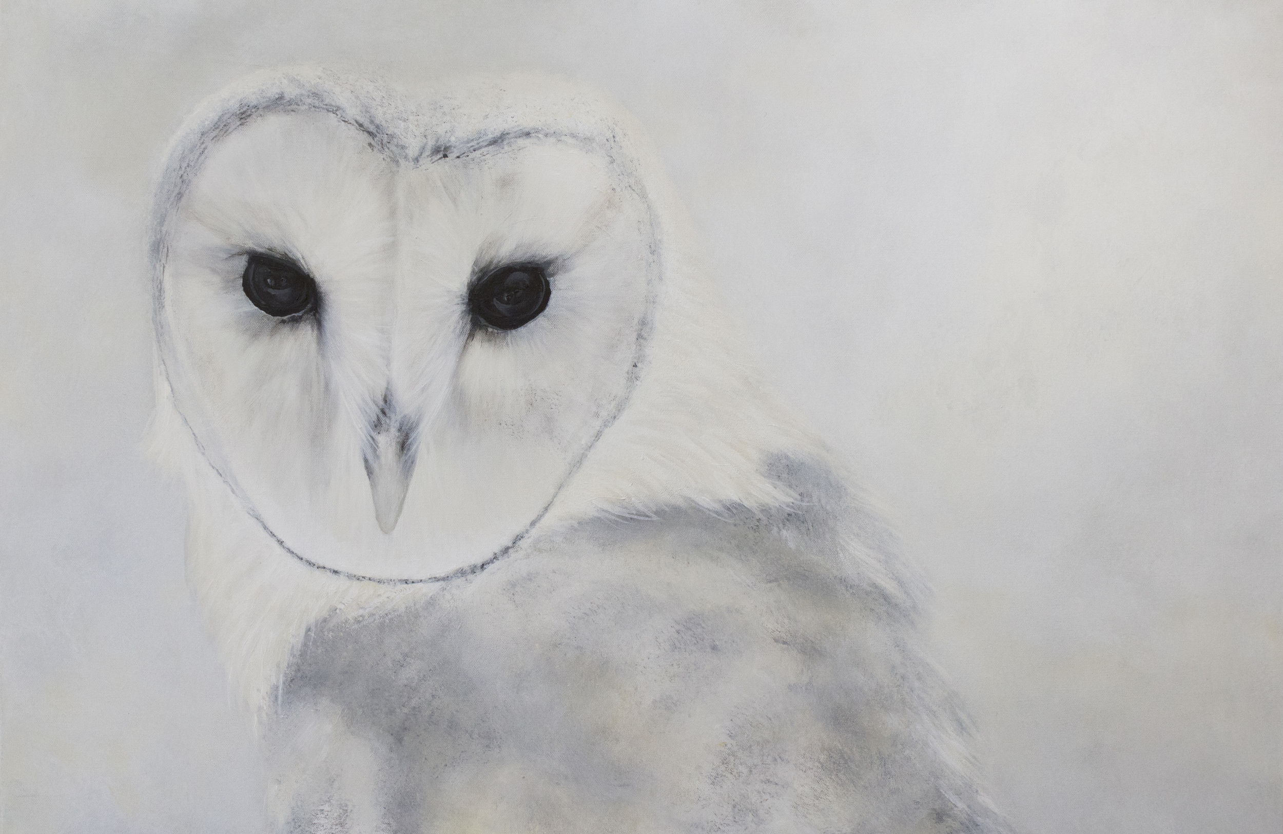 Owl Canvas