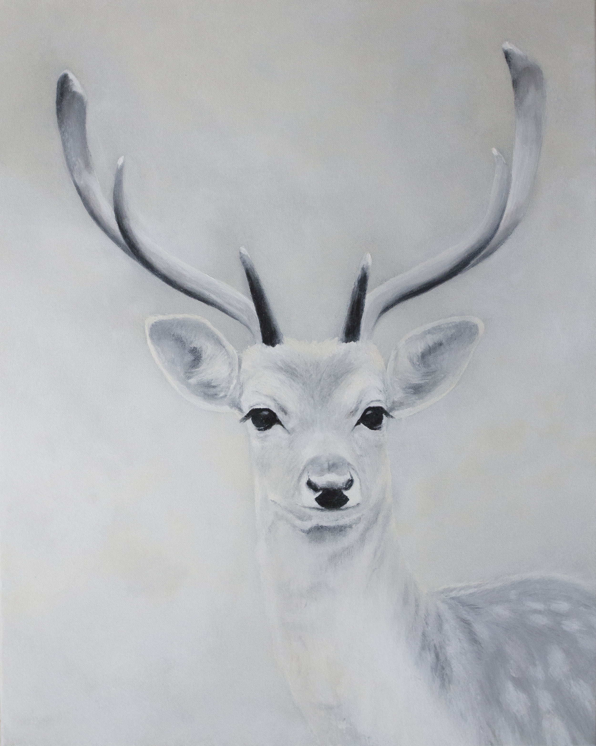 Deer Canvas