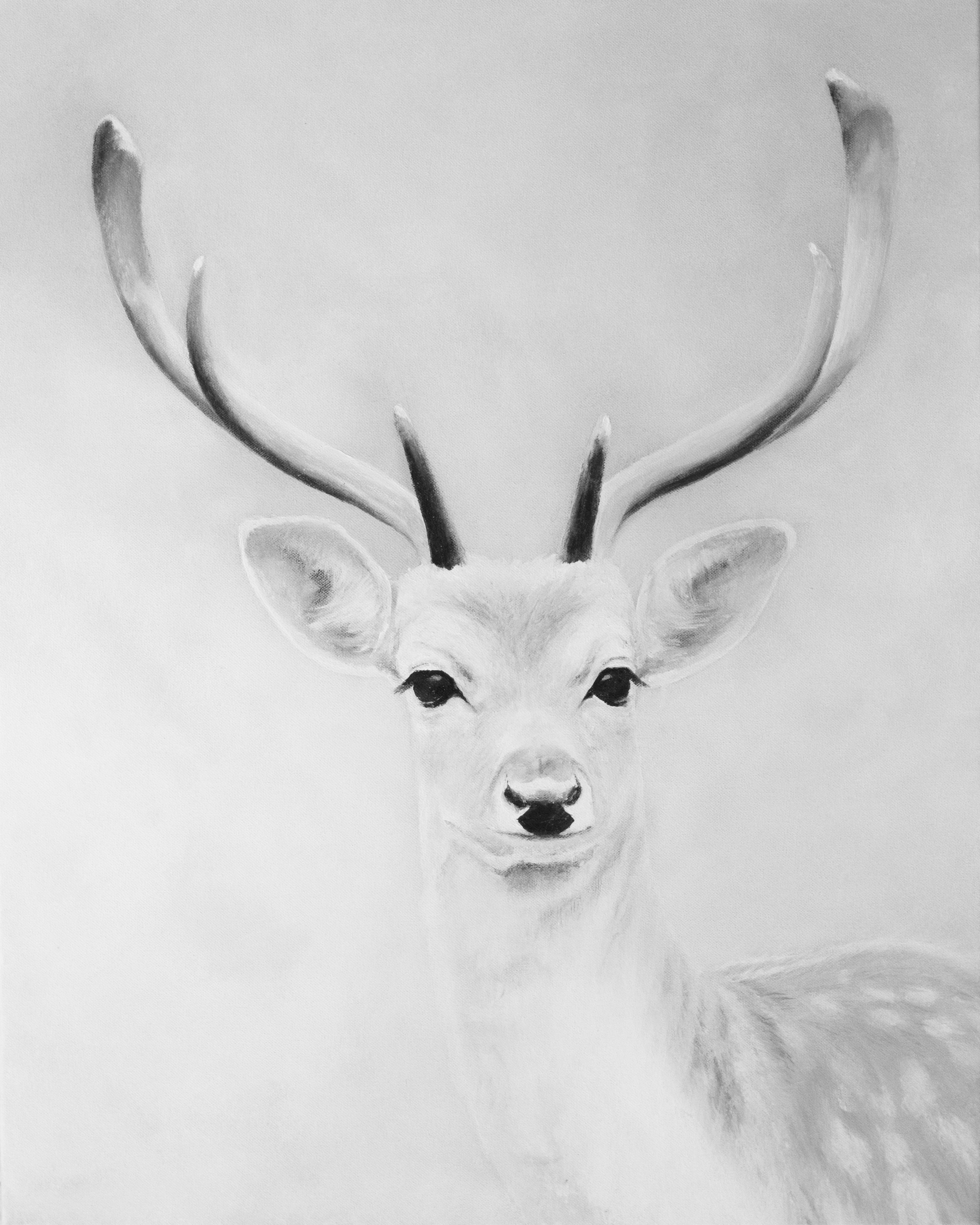 Black & White Deer Print