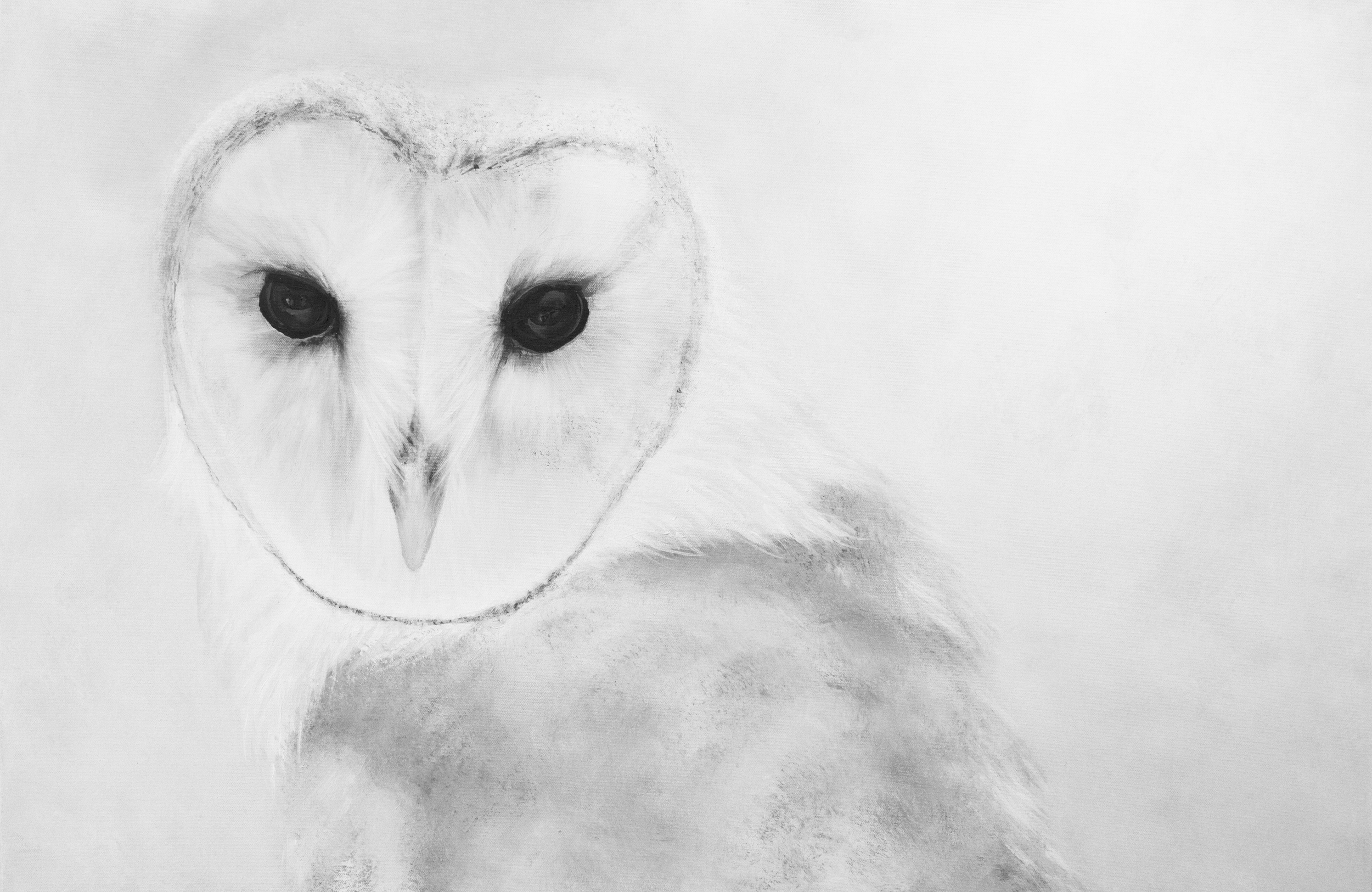 Black & White Owl Print