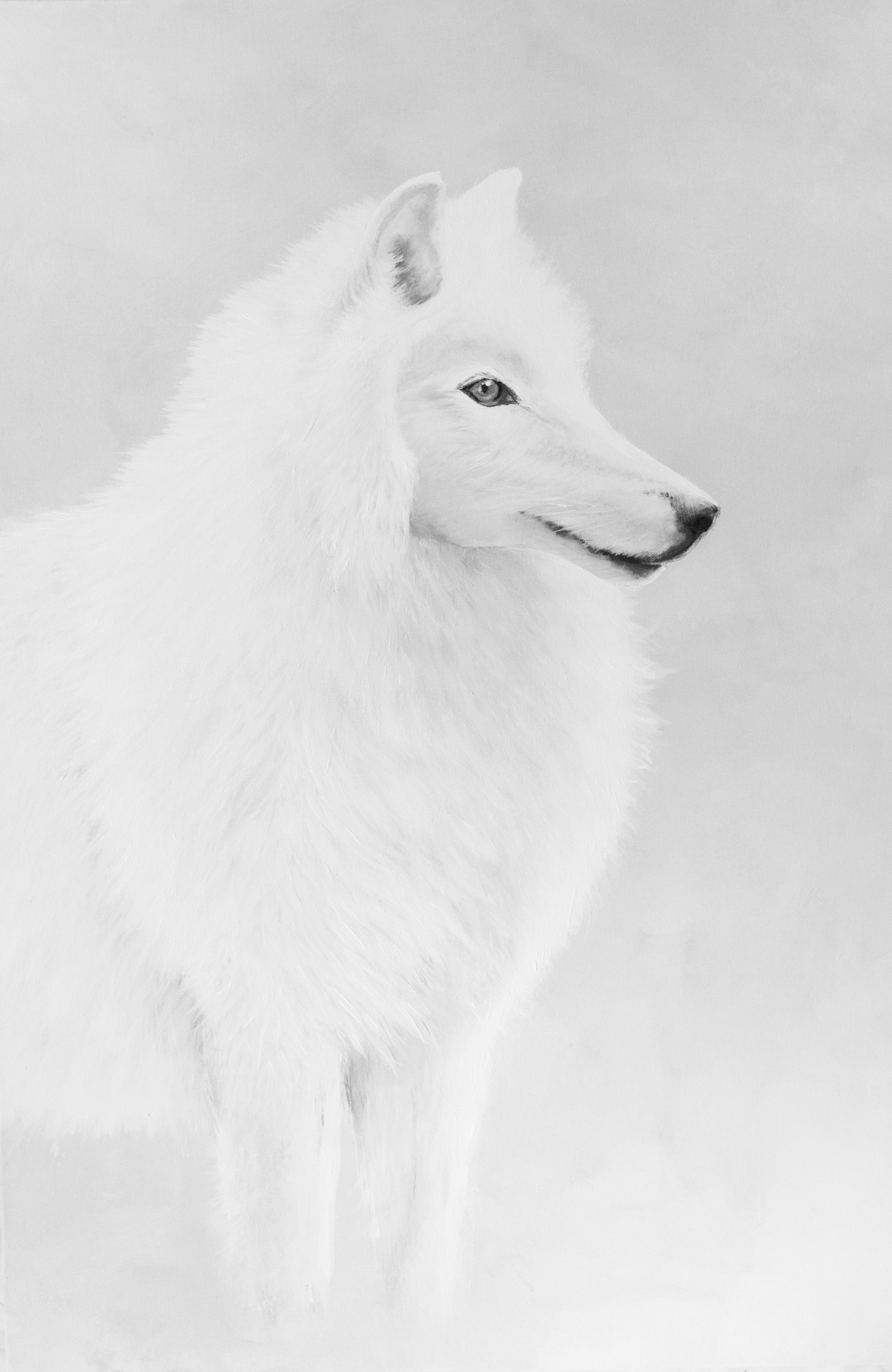 Black & White Wolf Print