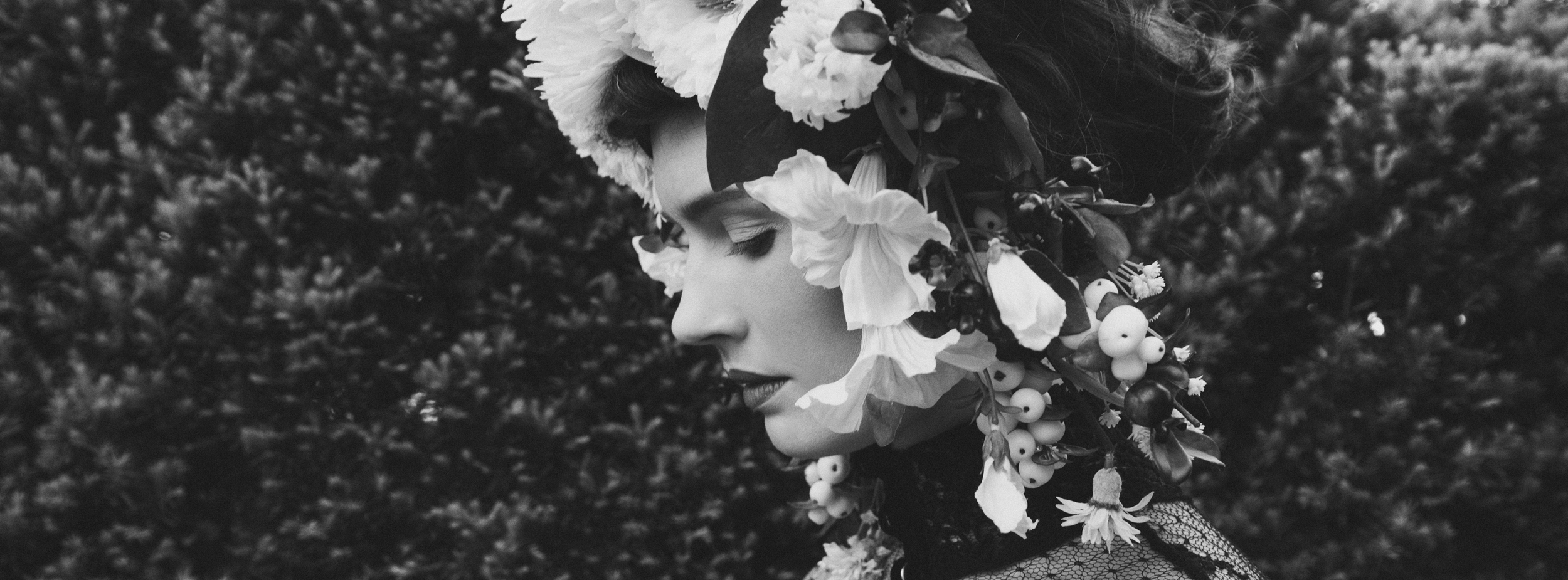 wild honey facebook banner.jpg