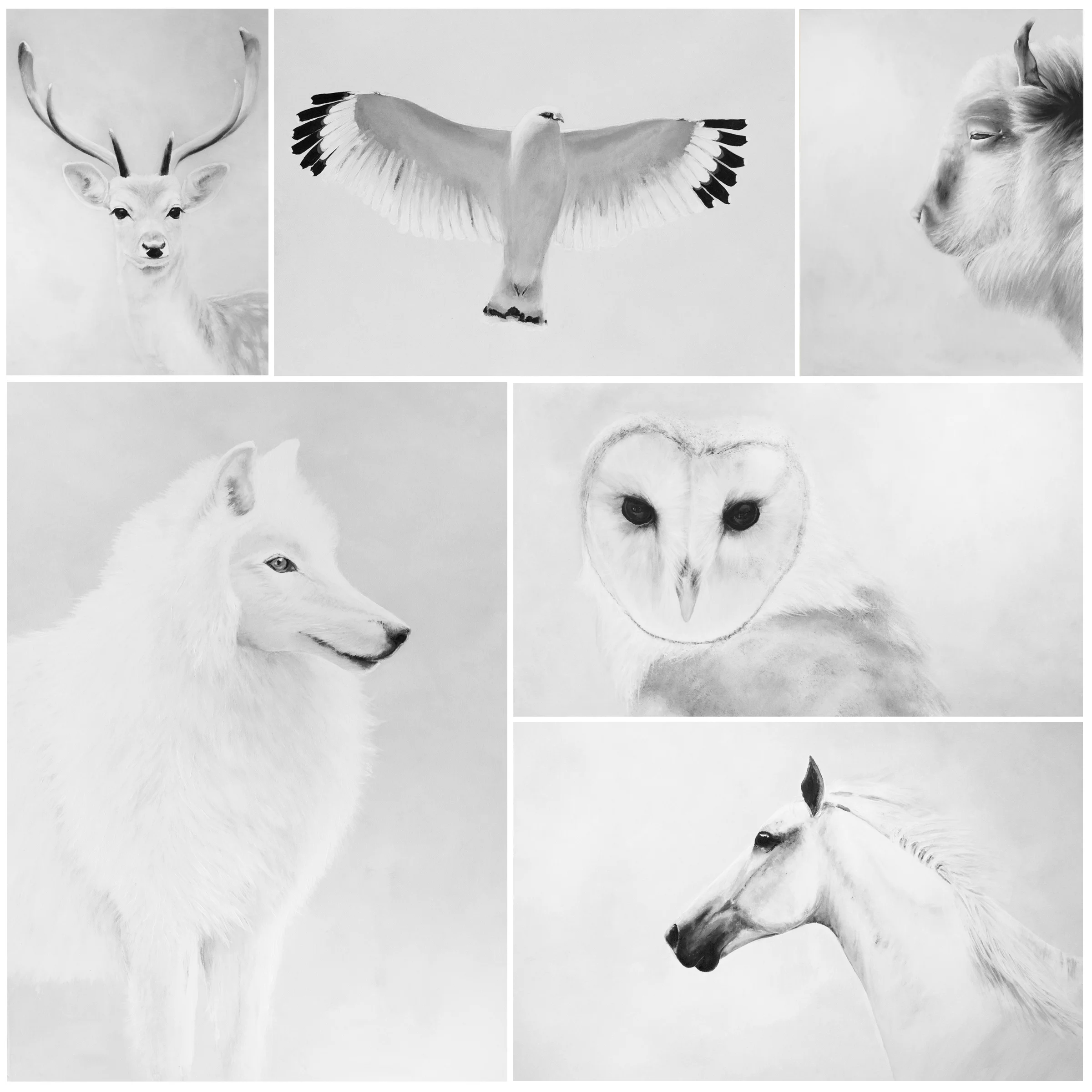 6 - Black & White 'SPIRIT ANIMAL' Greeting Cards
