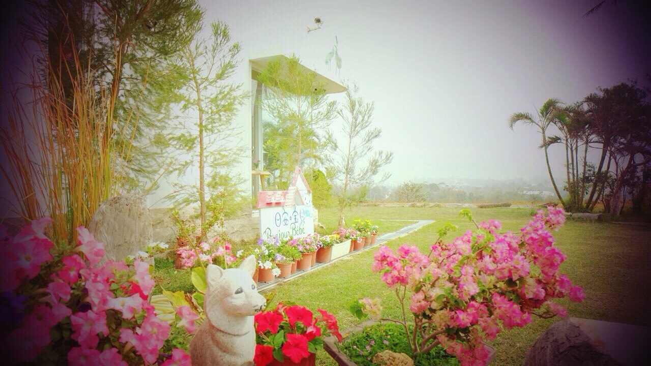 S__8003724.jpg